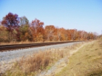 Colorful trees along the CSX Northern Sub.